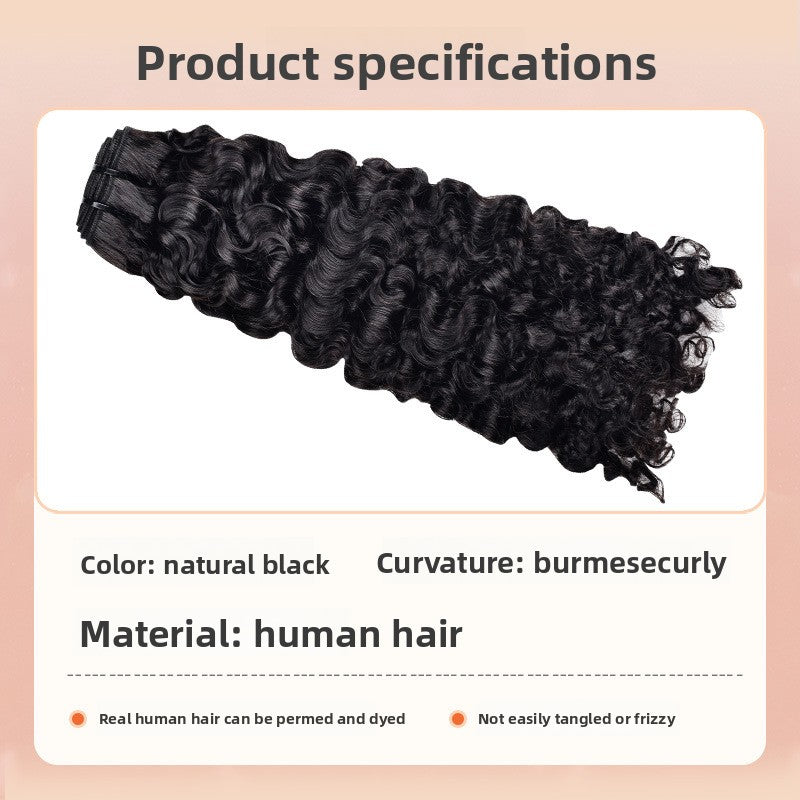 Curly Human Hair Wig, Natural 1B - Lace Avenue Hair 5
