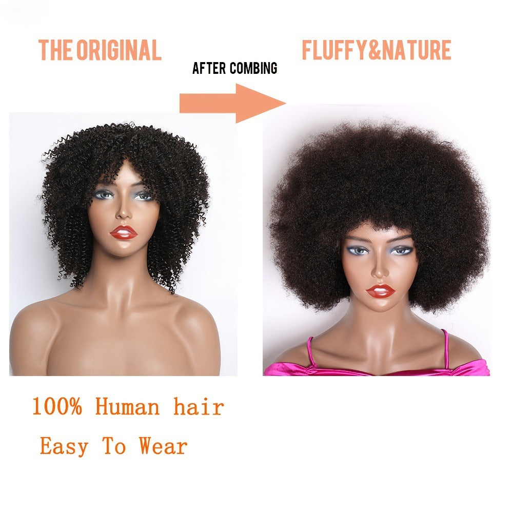 Afro Kinky Curly Human Hair Wig with Adjustable Bangs