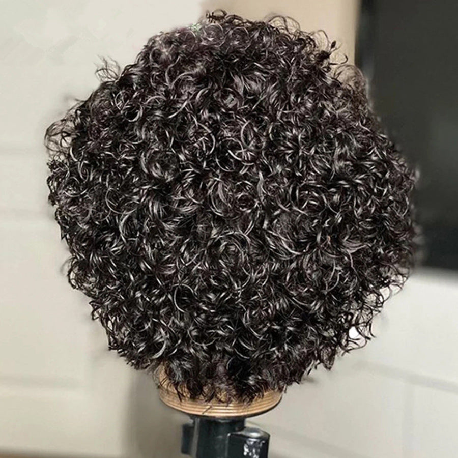 Curly Human Hair Pixie Cut Wig, 6 Inch - Lace Avenue Hair 4