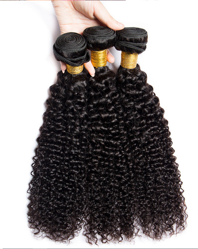 Kinky Curly Human Hair Wig - Lace Avenue Hair 3
