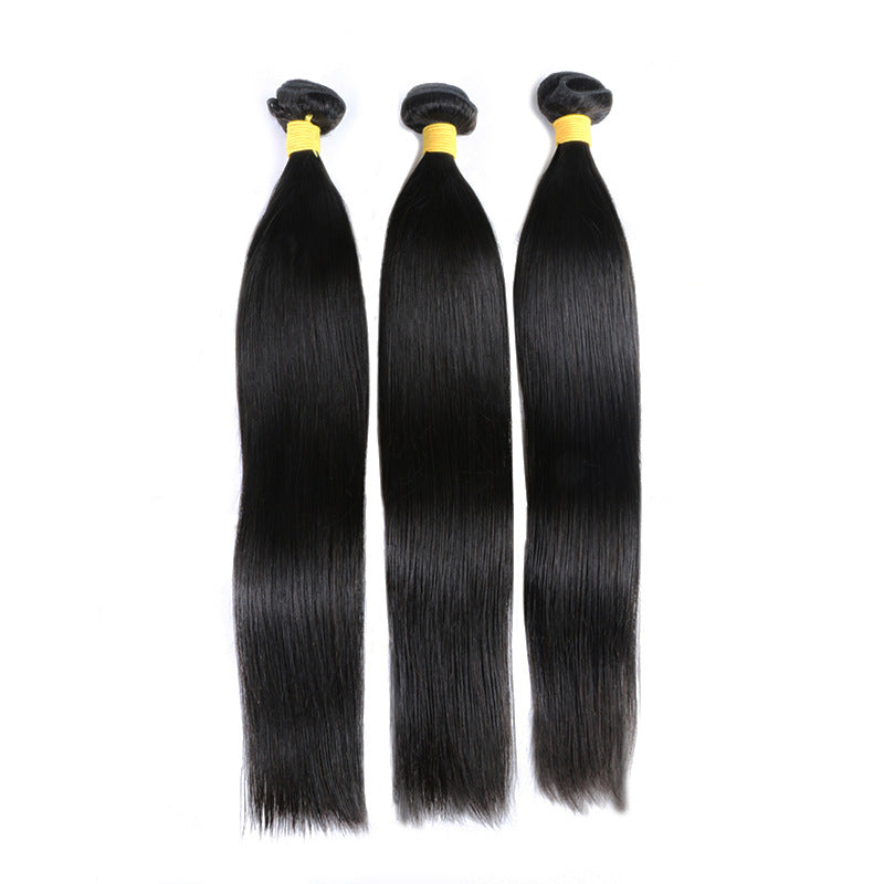 Straight Human Hair Wig, Braided or Smooth Style - Lace Avenue Hair 2