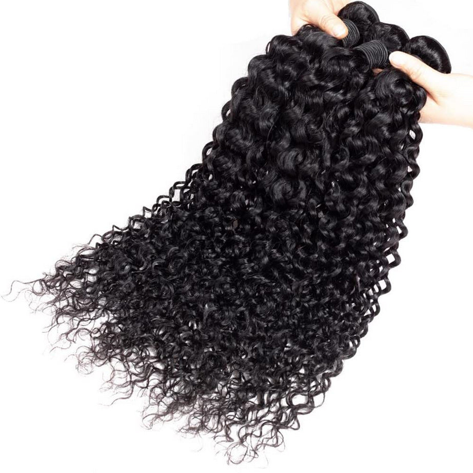 Kinky Curly Human Hair Wig - Lace Avenue Hair 4
