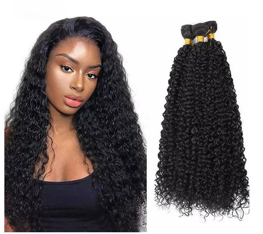 Kinky Curly Human Hair Wig - Lace Avenue Hair 1