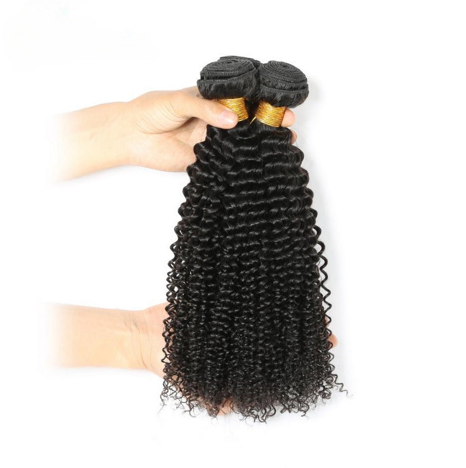 Kinky Curly Human Hair Wig - Lace Avenue Hair 2