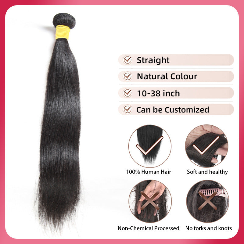 Straight Human Hair Wig, Braided or Smooth Style - Lace Avenue Hair 5